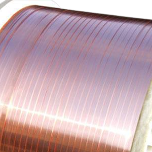 BARE COPPER STRIPS / FLATS